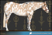Horse Color:Red Dun Mushroom Near Leopard 
