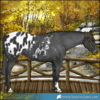 Horse Color:Black Mushroom Blanket 