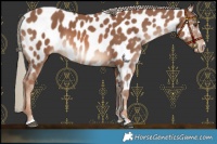 Horse Color:Chestnut Mushroom Near Leopard 