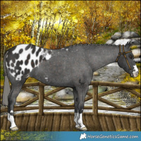 Horse Color:Liver Chestnut Mushroom Blanket 