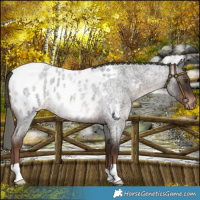 Horse Color:Liver Red Roan Mushroom Blanket 
