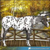 Horse Color:Liver Chestnut Mushroom Blanket