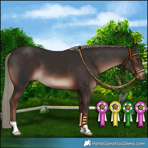 Horse Color:Liver Chestnut Mushroom 