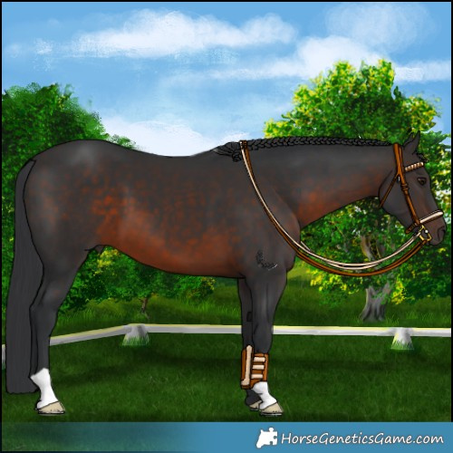 Horse Color:Brown Mushroom 