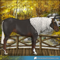Horse Color:Liver Chestnut Mushroom 