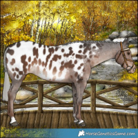 Horse Color:Liver Chestnut Mushroom Blanket