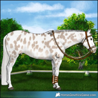 Horse Color:Liver Red Dun Mushroom Blanket 