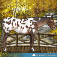 Horse Color:Liver Chestnut Mushroom Blanket