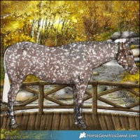 Horse Color:Liver Chestnut Mushroom Snowflake Varnish 