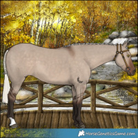Horse Color:Liver Red Dun Mushroom 