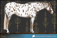 Horse Color:Chocolate Palomino Mushroom Blanket