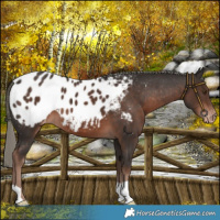Horse Color:Liver Chestnut Mushroom Blanket