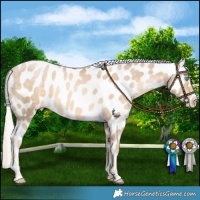 Horse Color:Chocolate Palomino Pearl Mushroom Near Leopard