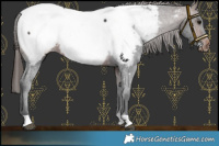 Horse Color:Brown Near Fewspot