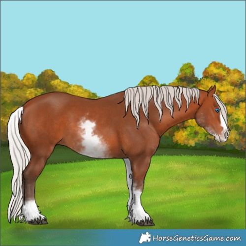 Horse Color:White Spotted Silver Bay Splash 