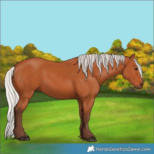 Horse Color:Silver Bay