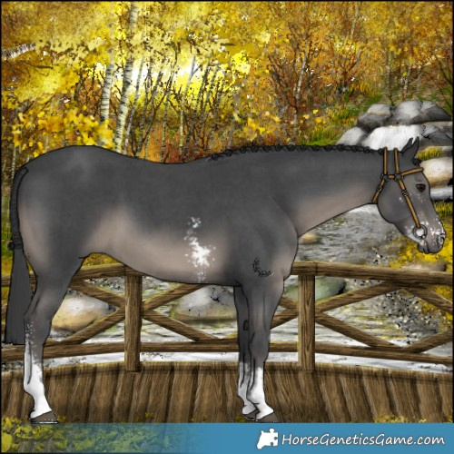 Horse Color:Platinum Black Sabino