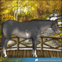 Horse Color:Platinum Black Sabino 
