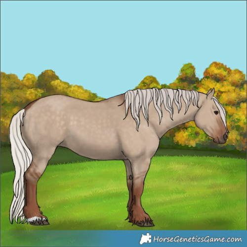 Horse Color:Silver Grullo 