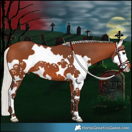 Horse Color:Silver Bay Splash 