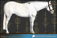 Horse Color:Amber Cream Champagne Roan Pearl Blanket Rabicano 
