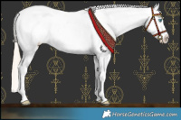 Horse Color:Chocolate Palomino Pearl Snowcap