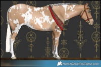 Horse Color:White Spotted Chocolate Palomino Pearl 