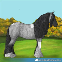 Horse Color:Blue Roan Tobiano 