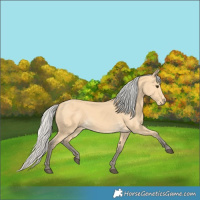 Horse Color:Silver Buckskin 