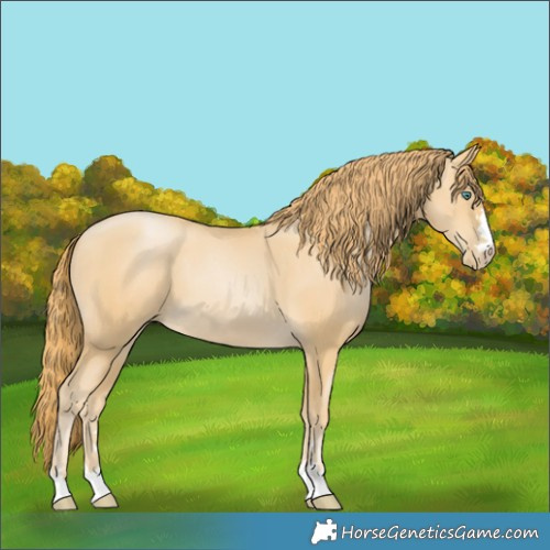 Horse Color:Smoky Black Pearl 