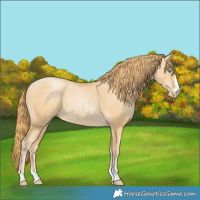 Horse Color:Smoky Black Pearl