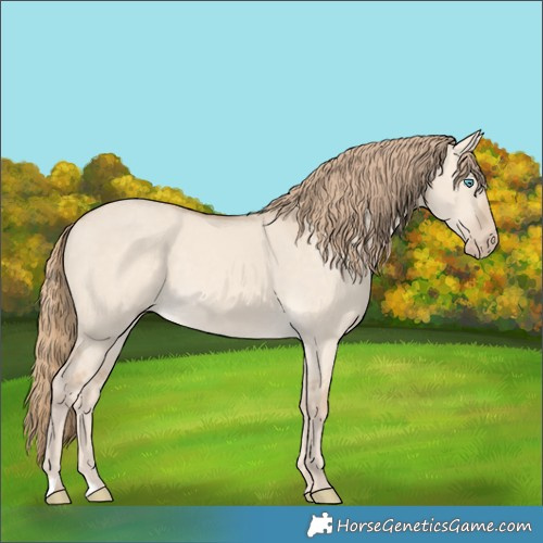 Horse Color:Perlino Dun 