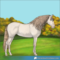 Horse Color:Perlino Dun 