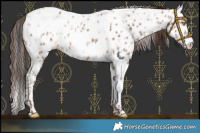 Horse Color:Sable Champagne Near Leopard and Sable Champagne Tobiano Near Leopard