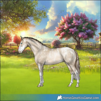 Horse Color:Powder White Buckskin Pearl Dun Sabino 