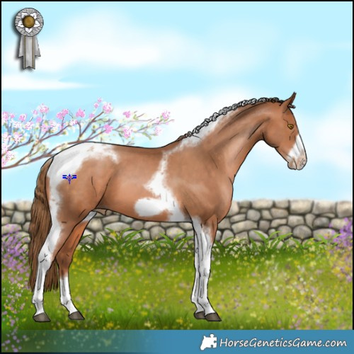 Horse Color:Brown Pearl Tobiano Frame 