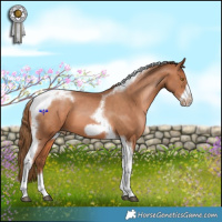 Horse Color:Brown Pearl Tobiano Frame