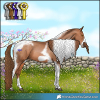 Horse Color:Brown Pearl Tobiano Frame