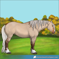 Horse Color:Silver Brown Dun 