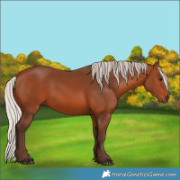 Horse Color:Silver Brown