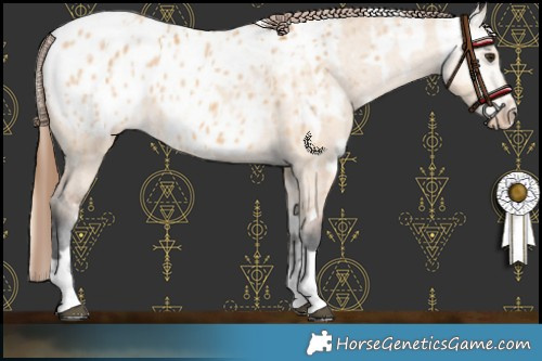 Horse Color:Red Dun Blanket  and Bay Dun Blanket 
