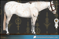 Horse Color:Red Dun Blanket  and Bay Dun Blanket 