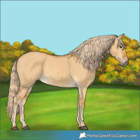 Horse Color:Palomino Dun 