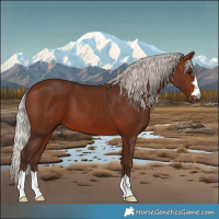 Horse Color:Silver Brown
