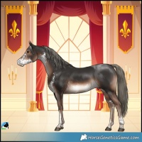 Horse Color:Liver Chestnut Mushroom Sabino Rabicano 