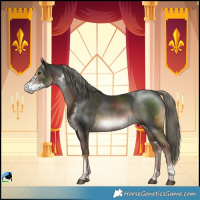 Horse Color:Liver Chestnut Mushroom Sabino Rabicano