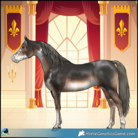 Horse Color:Liver Chestnut Mushroom Sabino Rabicano 