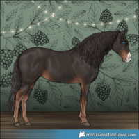 Horse Color:Liver Chestnut Frame 
