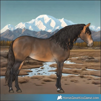 Horse Color:Buckskin 