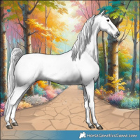 Horse Color:Gray Bay Roan Dun 
